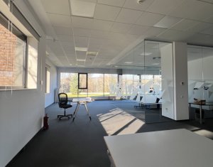 Bureau à louer dans Cluj-napoca, zone Gruia