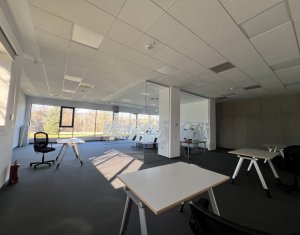 Bureau à louer dans Cluj-napoca, zone Gruia