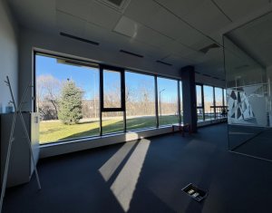 Bureau à louer dans Cluj-napoca, zone Gruia
