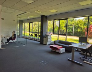 Bureau à louer, 220m2 dans Cluj-napoca, zone Gruia