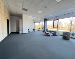 Bureau à louer dans Cluj-napoca, zone Gruia