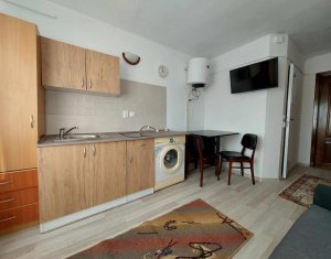 Appartement 1 chambres à louer dans Cluj-napoca, zone Intre Lacuri