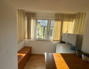 Appartement 1 chambres à louer dans Cluj-napoca, zone Centru
