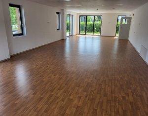 Espace Commercial à louer dans Cluj-napoca, zone Marasti