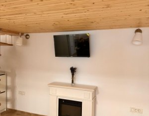 Appartement 1 chambres à vendre dans Cluj-napoca, zone Centru