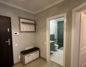 Appartement 1 chambres à louer dans Cluj-napoca, zone Intre Lacuri