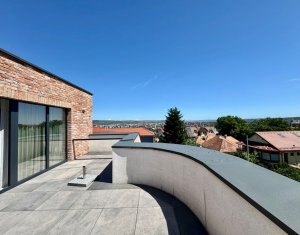 Maison 6 chambres à vendre dans Cluj-napoca, zone Andrei Muresanu
