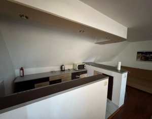 Maison 4 chambres à louer dans Cluj-napoca, zone Andrei Muresanu