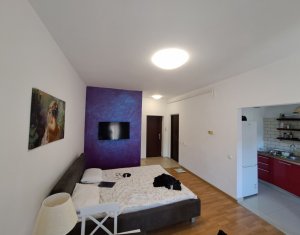 Appartement 1 chambres à vendre dans Floresti