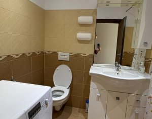 Appartement 2 chambres à louer dans Cluj-napoca, zone Intre Lacuri