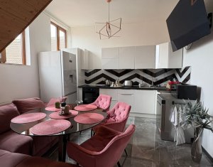 Appartement 2 chambres à louer dans Cluj-napoca