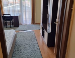 Appartement 1 chambres à louer dans Cluj-napoca, zone Plopilor