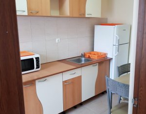 Appartement 1 chambres à louer dans Cluj-napoca, zone Plopilor