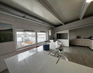 Ipari helyiség kiadó on Cluj-napoca, Zóna Iris