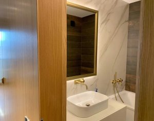 Appartement 1 chambres à louer dans Cluj-napoca, zone Andrei Muresanu