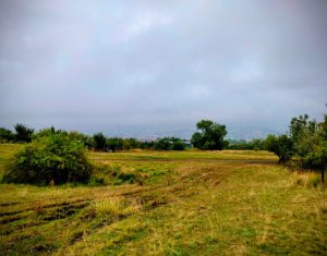, 604m2 in Cluj-napoca, zona Dambul Rotund
