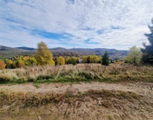 Terrain à vendre dans Muntele Baisorii