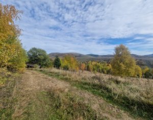 Terrain à vendre dans Muntele Baisorii