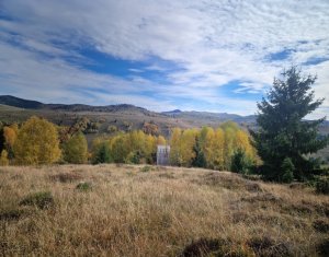 Terrain à vendre dans Muntele Baisorii