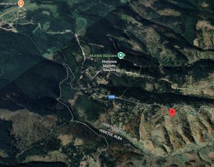 Terrain à vendre dans Muntele Baisorii
