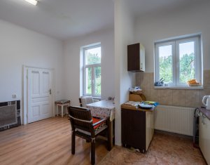 Maison 5 chambres à vendre dans Cluj-napoca, zone Andrei Muresanu