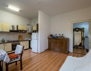 Maison 5 chambres à vendre dans Cluj-napoca, zone Andrei Muresanu