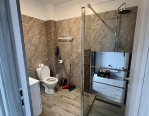 Maison 4 chambres à louer dans Cluj-napoca, zone Borhanci