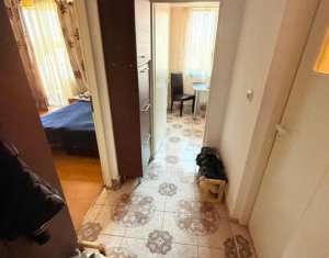 Appartement 1 chambres à vendre dans Cluj-napoca, zone Intre Lacuri