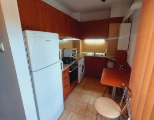Appartement 1 chambres à louer dans Cluj-napoca, zone Centru