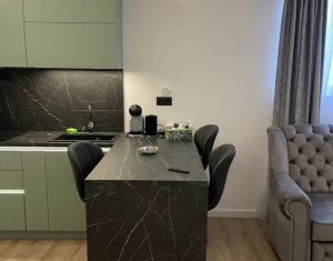 Appartement 2 chambres à louer dans Cluj-napoca, zone Intre Lacuri