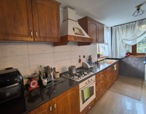 Maison 4 chambres à vendre dans Cluj-napoca, zone Borhanci