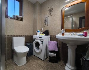 Maison 4 chambres à vendre dans Cluj-napoca, zone Borhanci