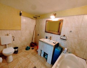 Maison 4 chambres à vendre dans Cluj-napoca, zone Bulgaria