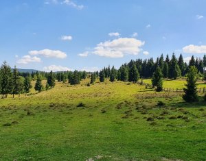 Terrain à vendre dans Belis