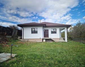 , 80m2 dans Pata