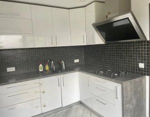 Maison 4 chambres à louer dans Cluj-napoca, zone Marasti