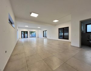 Espace Commercial à louer dans Cluj-napoca, zone Gara