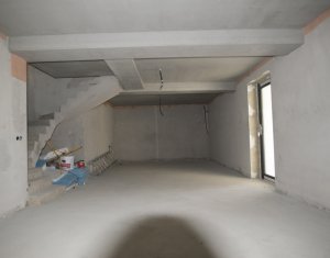 Maison 5 chambres à vendre dans Chinteni