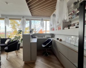 Espace Commercial à vendre dans Cluj-napoca