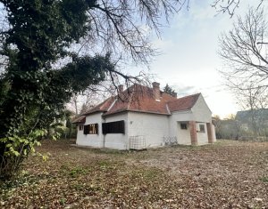 , 250m2 in Cluj-napoca, zona Centru