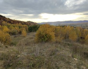 Terrain à vendre dans Salicea, zone Centru