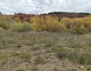 , 994m2 dans Salicea