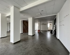 Spatiu comercial sau birouri 478mp piata Cipariu 
