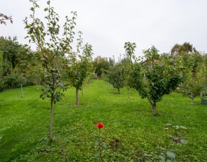 Telek eladó on Cluj-napoca, Zóna Andrei Muresanu