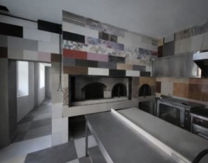 Espace Commercial à louer, 268m2 dans Cluj-napoca, zone Gara