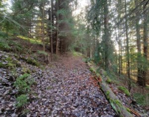 Terrain à vendre dans Belis