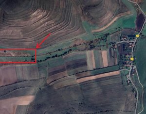 Terrain à vendre dans Valea Agrisului