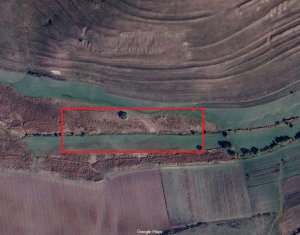 Terrain à vendre dans Valea Agrisului