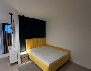 Appartement 1 chambres à louer dans Cluj-napoca, zone Manastur