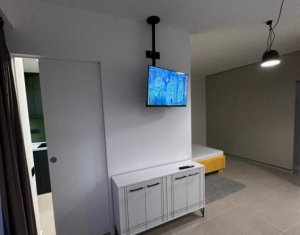 Appartement 1 chambres à louer dans Cluj-napoca, zone Manastur